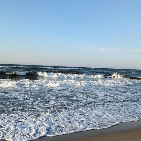 Aktivhof Gartentraum-perfekt Für Urlaub Mit Hund * Ostseebad Kühlungsborn